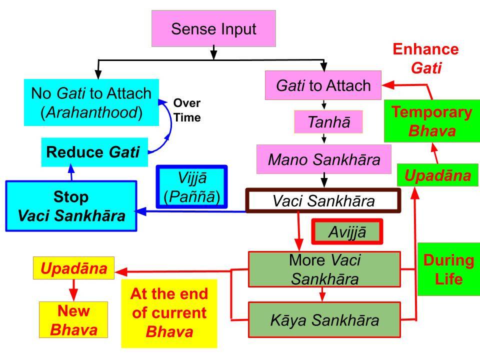 Difference Between Tanhā and Upādāna | Pure Dhamma